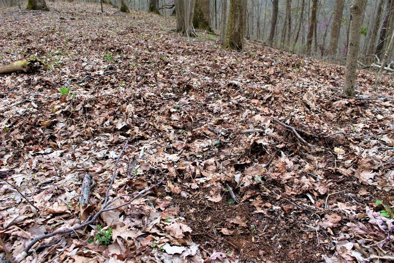 006 know what caused this   view more photos for another hint...