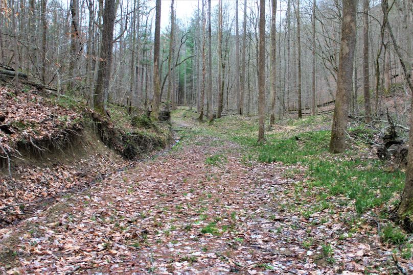 008 the legal deeded easement that leads into the property from ky 599