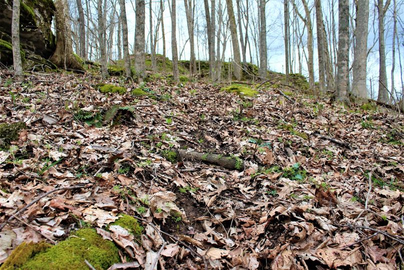 011 heavily worn deer game trail leading down between the limestone rock boulders