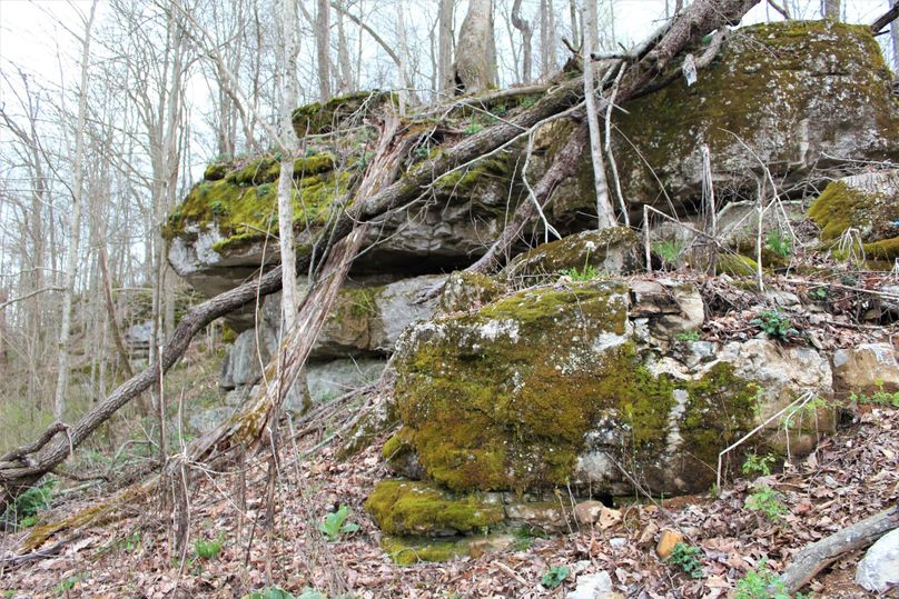 012 more awesome limestone rock faces with loads of crevices for wildlife to call home
