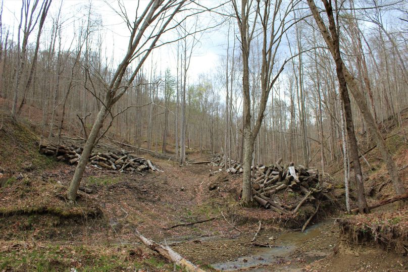 015 the slash piles from recent logging activities near the entrance into the property