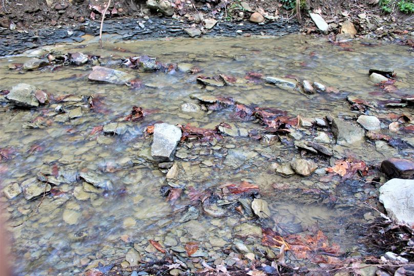 016 cool stream shot near the center of the property