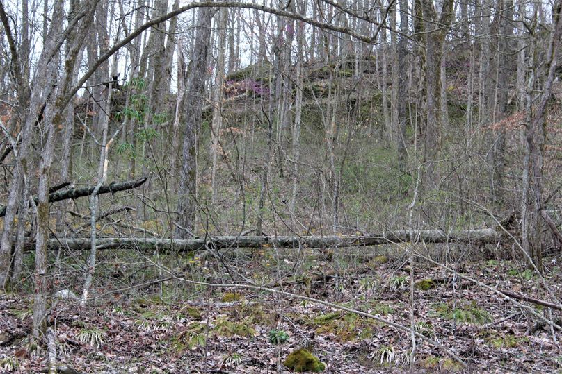 022 look closely in the center of the screen at the hen turkey, accompanied by the loose lipped gobbler entertaining us all evening