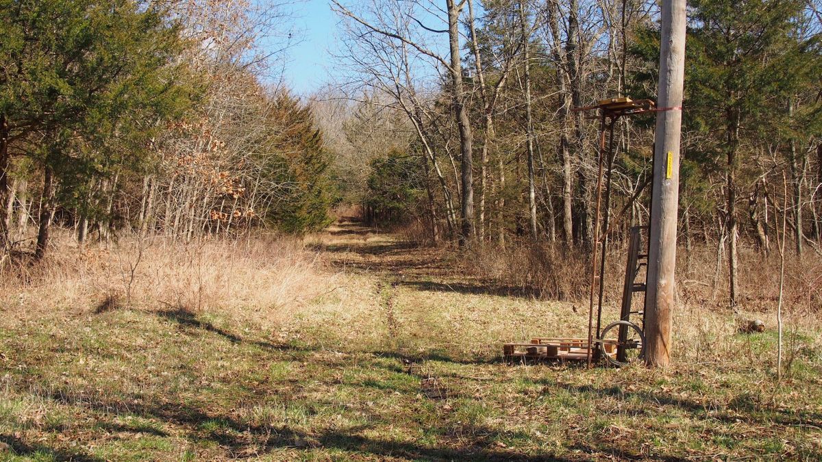 Small Deer Hunting Tract With Cabin Near Truman Lake Whitetail Properties