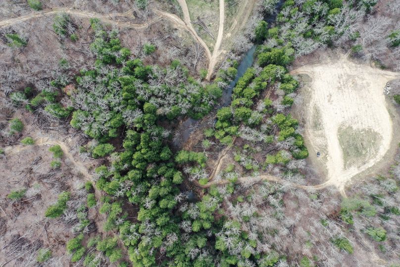 017 aerial drone shot in the northeast area of the property looking straight down