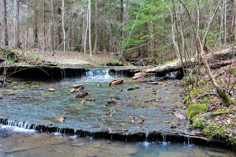 018 secondary stream flowing down from the daniel boone national forest along the north portion of the property