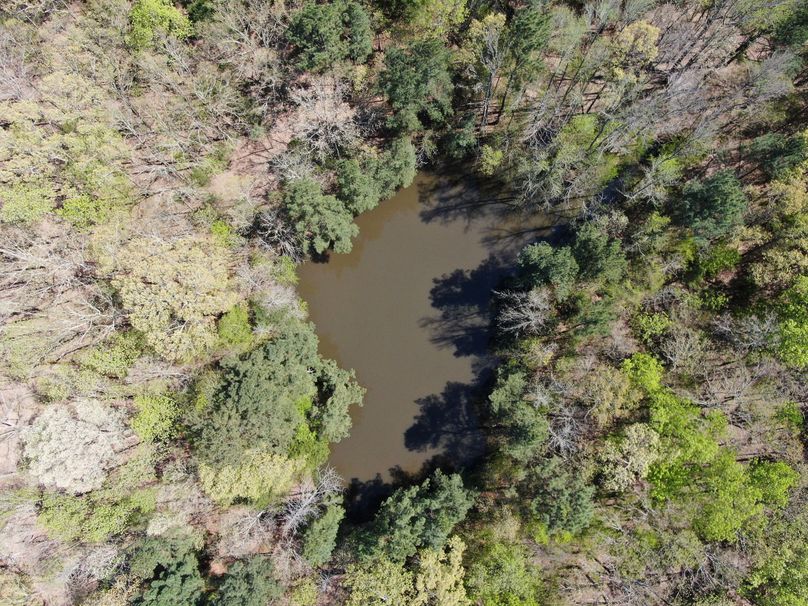 (18)pond aerial