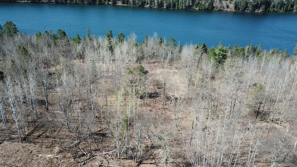 Long Lake Lot For Sale Near Itasca State Park Whitetail Properties