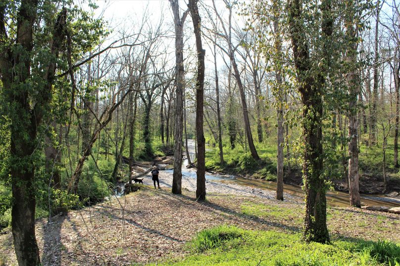 021 beautiful creek area perfect for recreation and fun right in your own back yard
