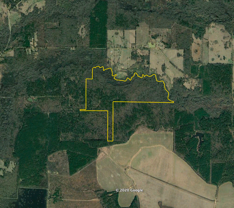 Screen shot 2020-03-25 at 7.51.20 am