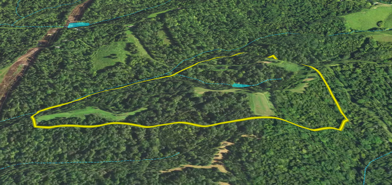 Screen Shot 2024-06-12 at 4.30.01 PM