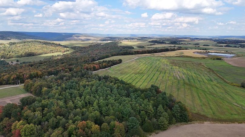 DJI_20250912152542_0031_D