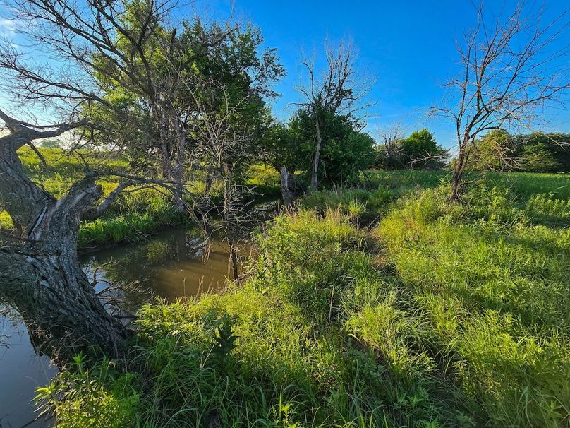 Copy of 20250625_071234