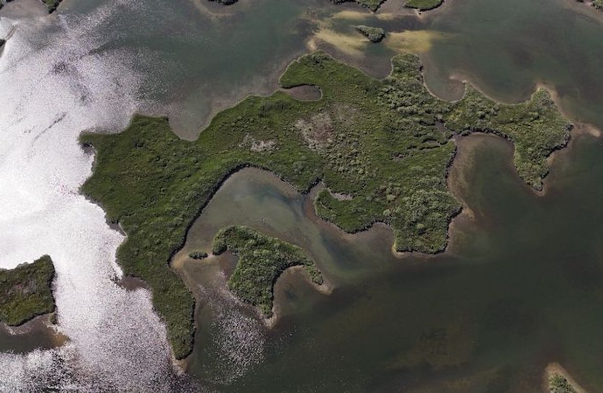 17.17ac, Citrus, Josiah Ronco04