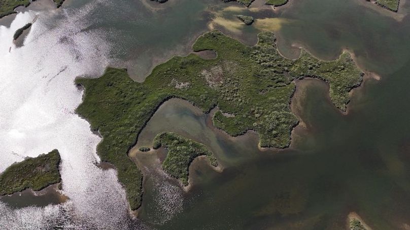 17.17ac, Citrus, Josiah Ronco04