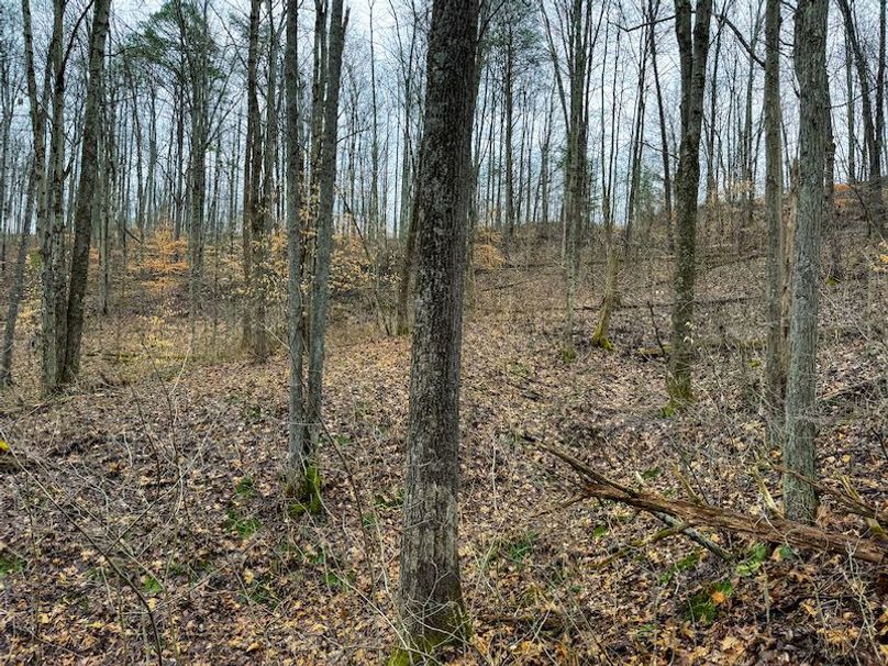 Ritchie, WV 64 AC Hall New Pics-07