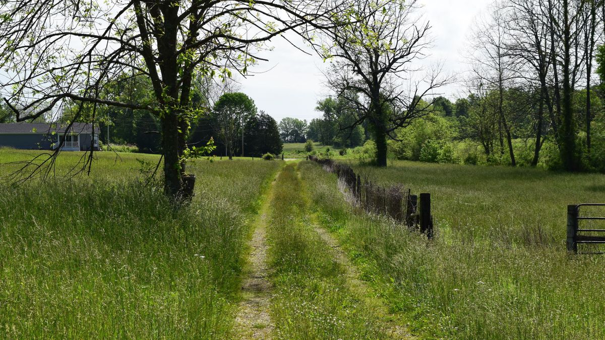 Mature Timber, Creek, Pasture/Tillable & Great Building Sites Whitetail Properties