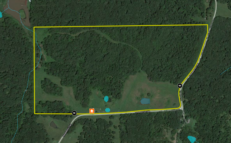 Screen shot 2020-06-02 at 1.25.41 pm