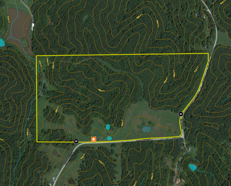 Screen shot 2020-06-02 at 1.25.57 pm