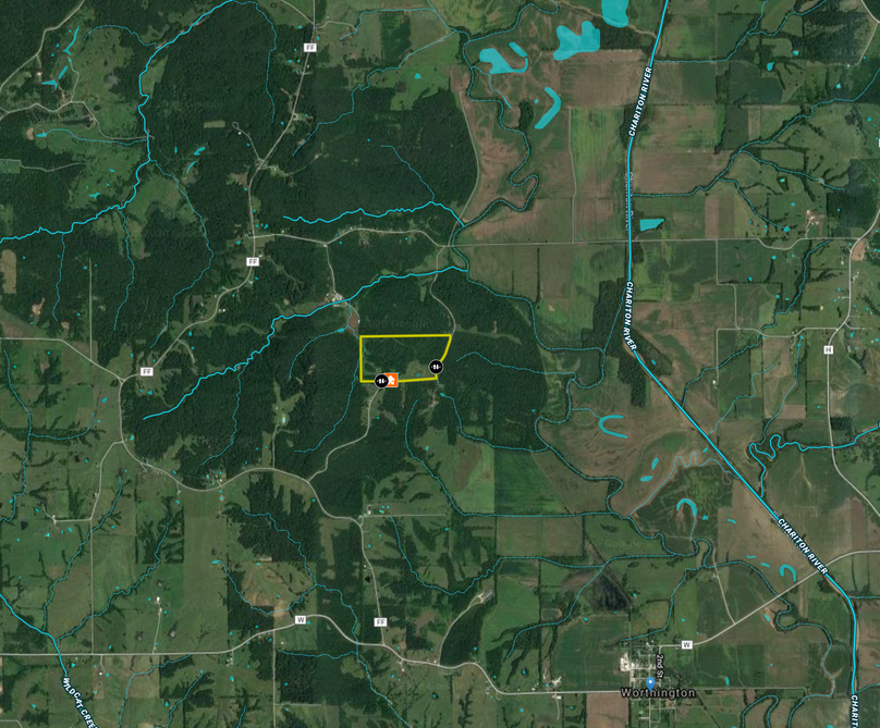 Screen shot 2020-06-02 at 1.25.31 pm