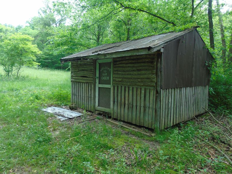 Old cabin on a 40 that the seller recently bought