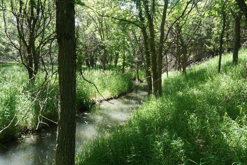 Wolf creek in center