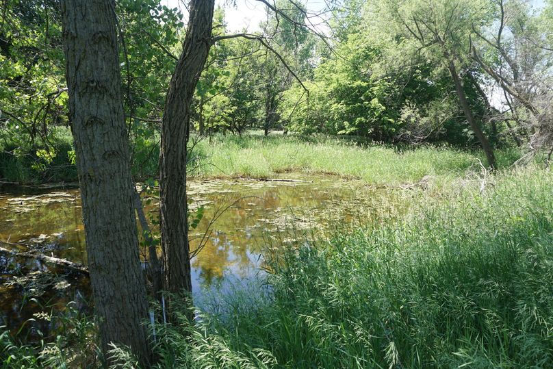Wolf creek on the north end