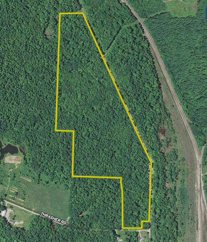 Screen shot 2020-05-22 at 4.03.16 pm