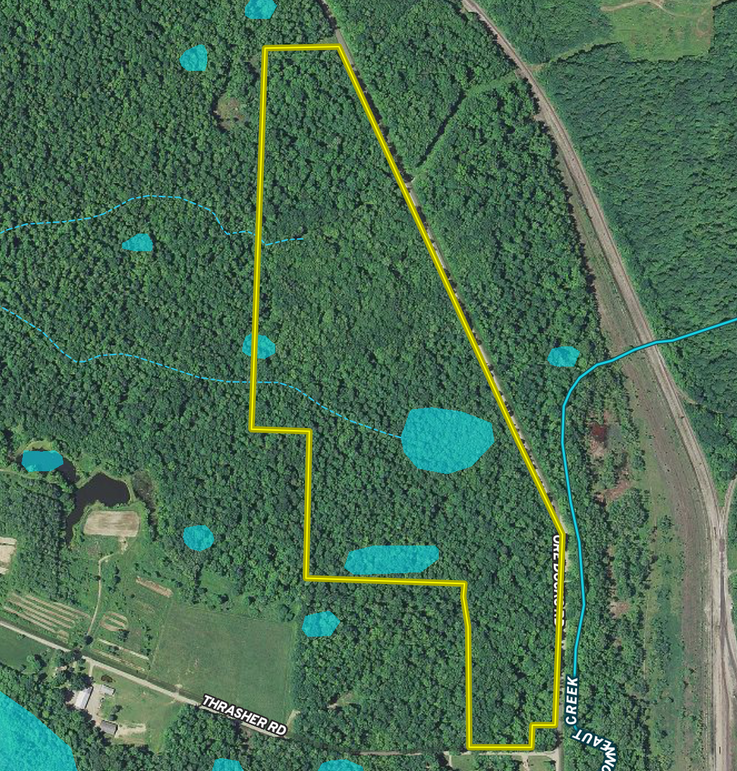 Screen shot 2020-05-22 at 4.04.29 pm