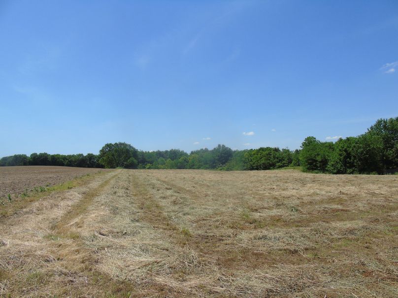 3 acre hay field that could be tilled