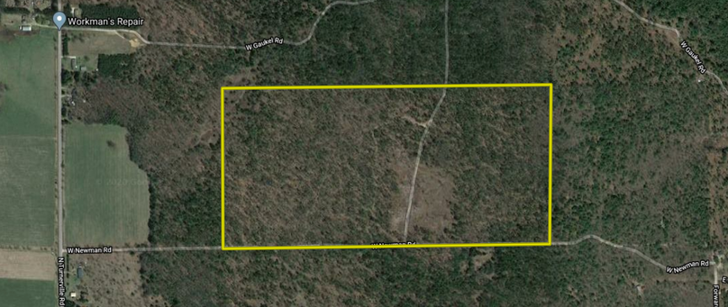 Screen shot 2020-06-29 at 3.48.46 pm