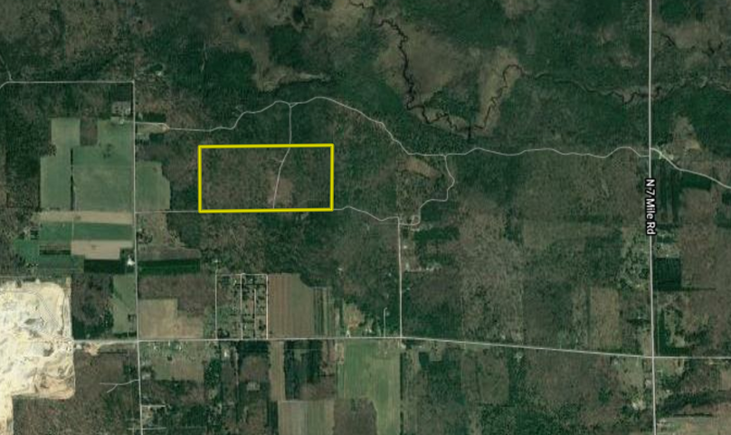 Screen shot 2020-06-29 at 3.48.25 pm