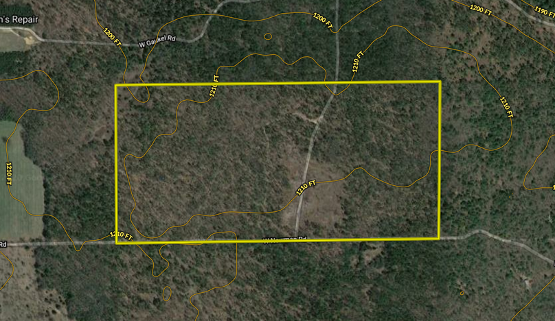 Screen shot 2020-06-29 at 3.49.06 pm