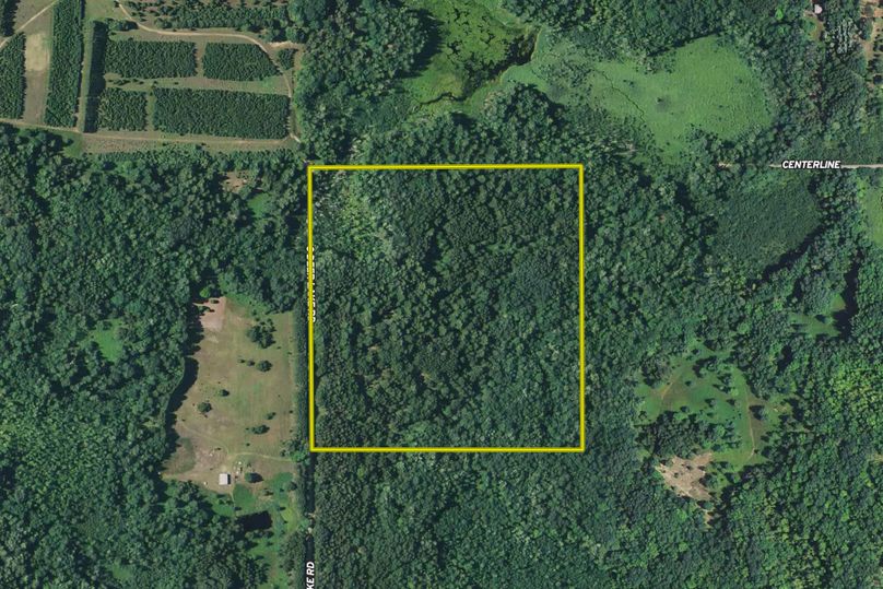 Ryskamp lake 40 aerial 1