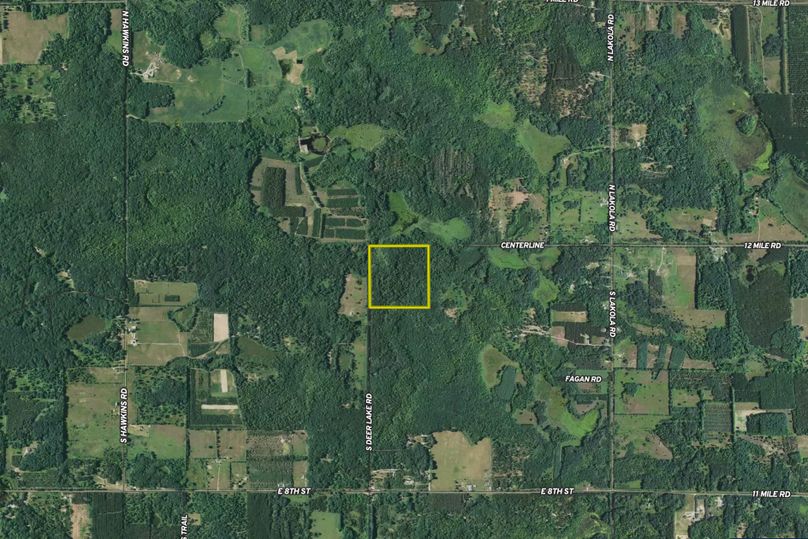 Ryskamp lake 40 aerial 2