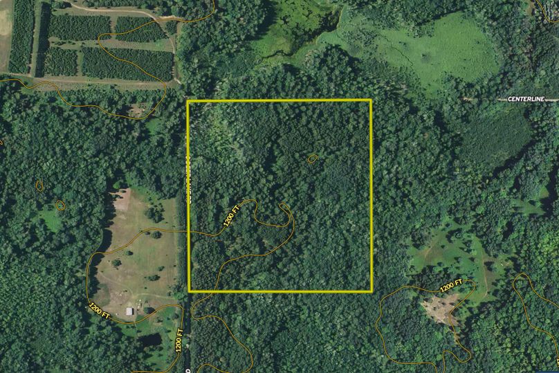 Ryskamp lake 40 aerial 3