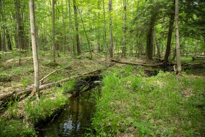 10 second creek on the northeast edge