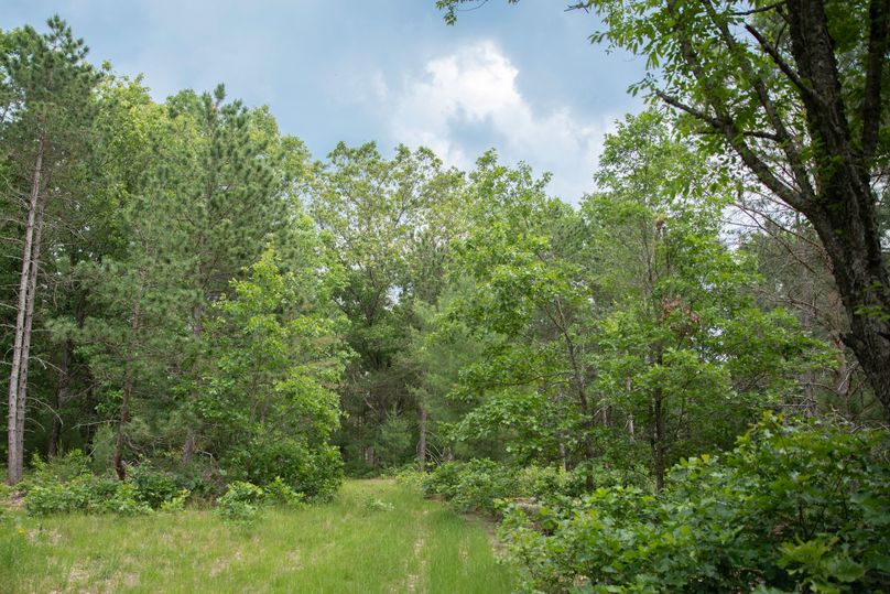 11 established trail system