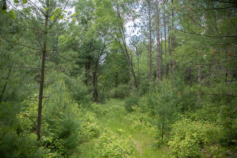 6 thick diverse cover