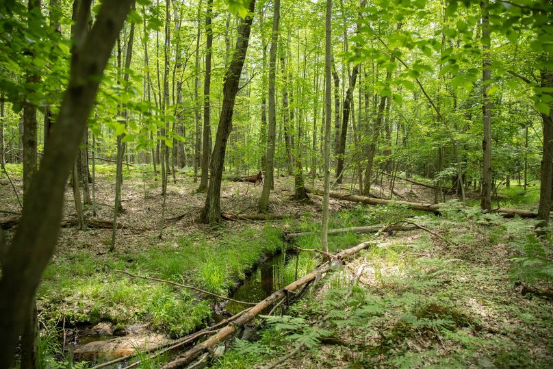 7 creek on the southeast side