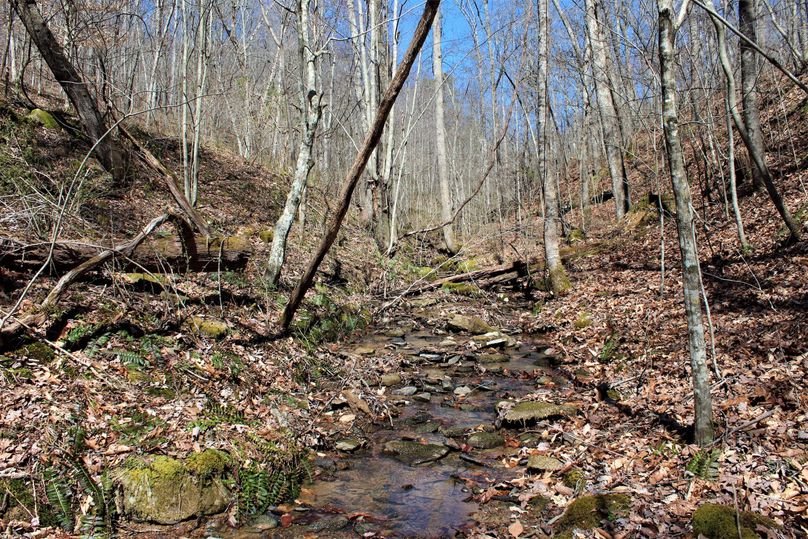001 seasonal mountain stream originating on the property
