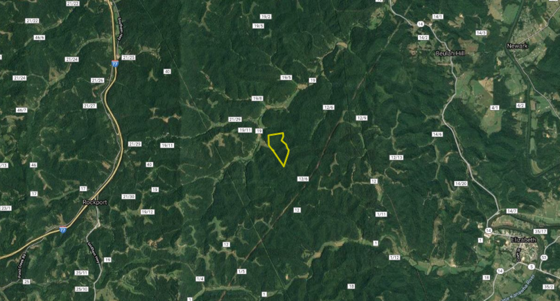 Distant aerial - vincent - wirt county - 125 acres 