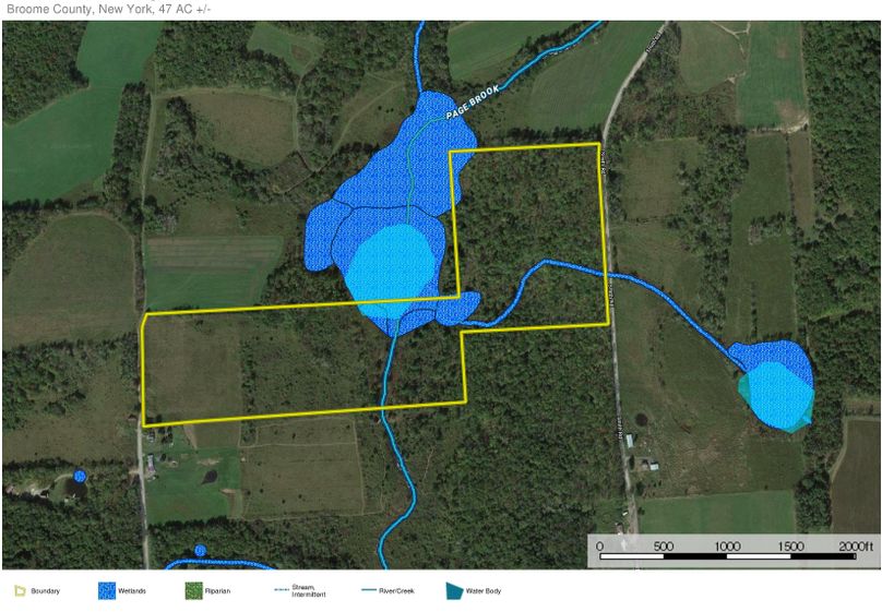 Broome 47 watson google