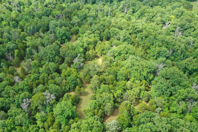 DJI_0328