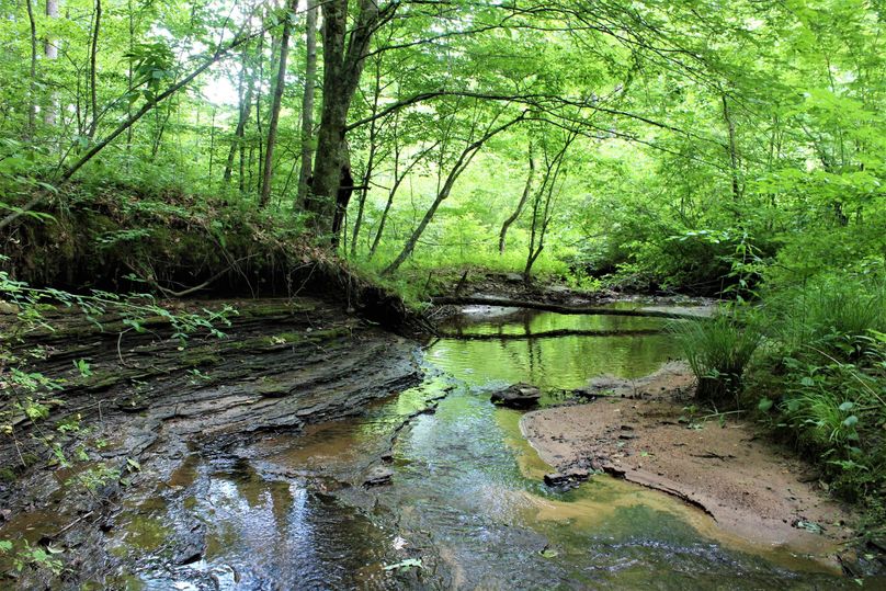 001 beautiful rock bottom stream flowing through the middle of the property