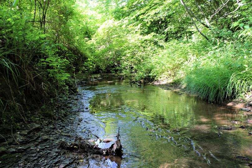 012 main stream near the middle of the property