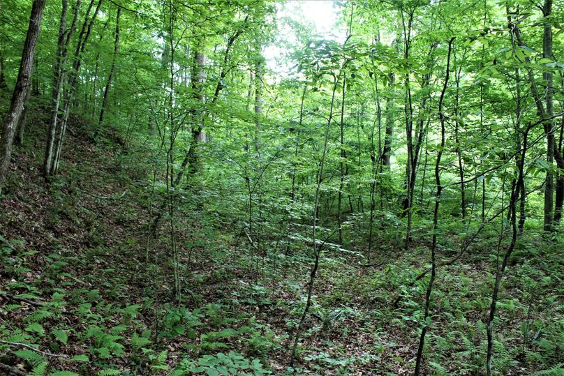 015 open under story alongside the main stream