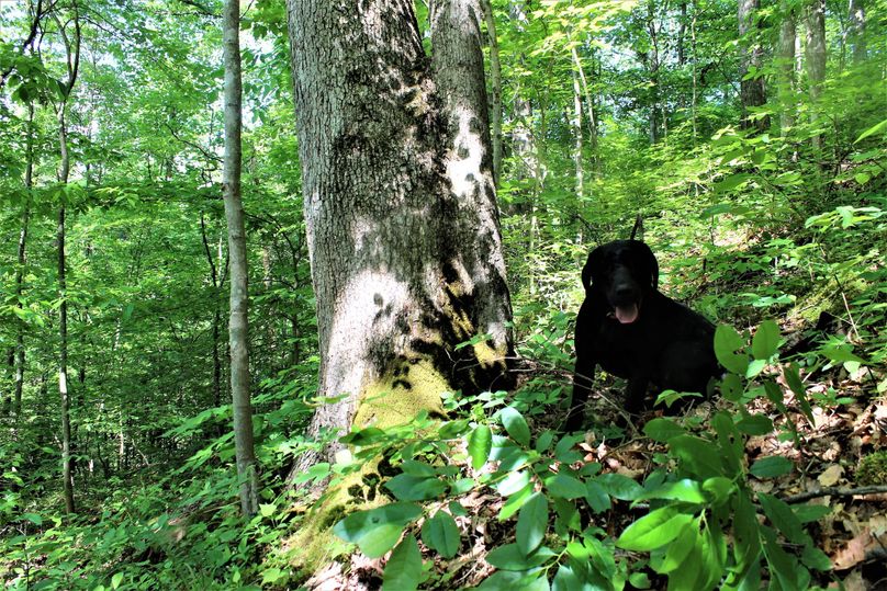 016 she really likes posing for pictures