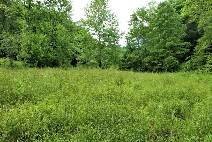 018 the ideal spot for that cabin in the woods, all within reach of electric service