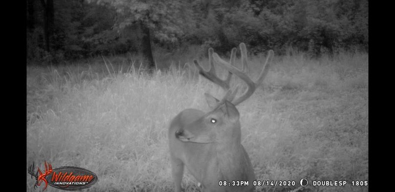 Screenshot 20200910-092541 gallery